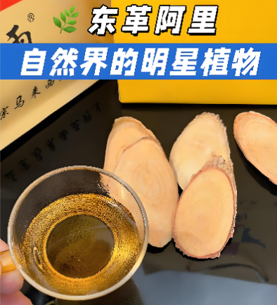 东革阿里（Eurycoma longifolia）的在男性性能力提升作用机制研究